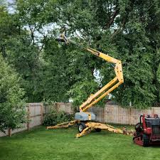 Best Tree Mulching  in Delta, UT