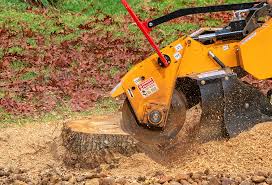 Best Aeration Services  in Delta, UT