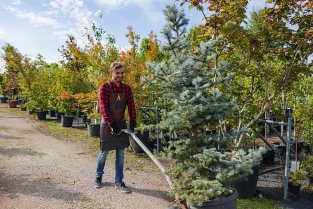 Lawn Watering Services in Delta, UT